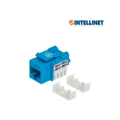 INTELLINET--INTELLINET 210737 - Jack RJ45 CAT6 Keystone / de impacto 110 / color azul-