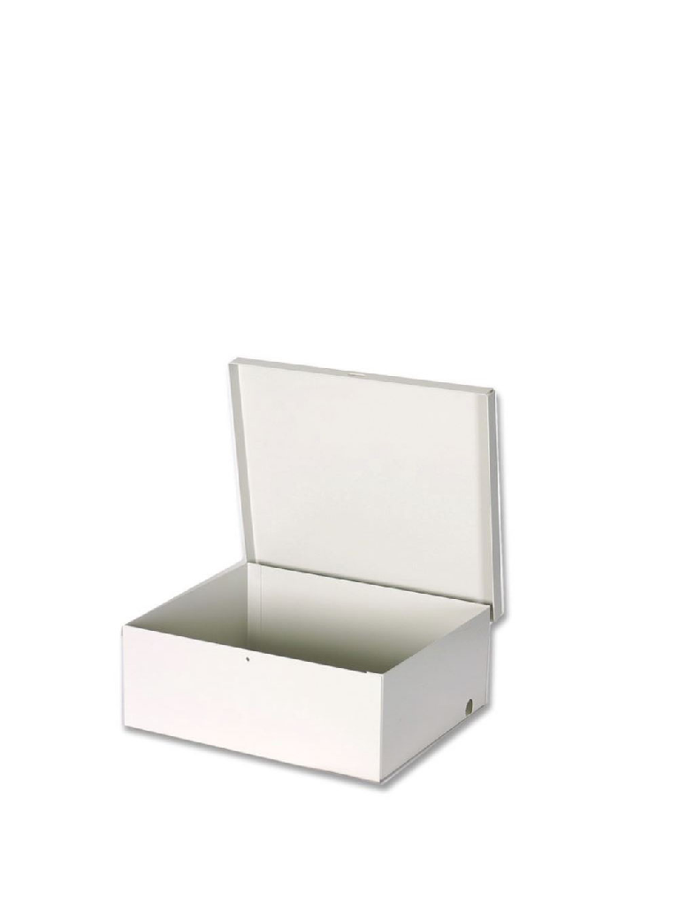 DSC--AV TT004 -  Gabinete Metálico para Modulos DSC SECO LARM BEIGE Lamina  de Alta Calidad-