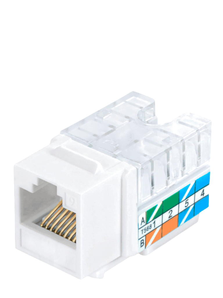 SAXXON M2656B - Modulo jack keystone RJ45 / 8 Hilos / CAT 6 / Compatible con calibres  AWG 22-26 / Color azul